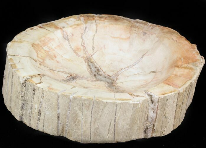 Polished Madagascar Petrified Wood Bowl - #48689